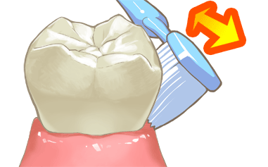 歯ブラシを傾けて、歯と歯肉の境目も磨く方法のイラスト画像
