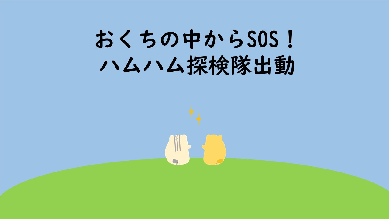 ハムハム探検隊画像
