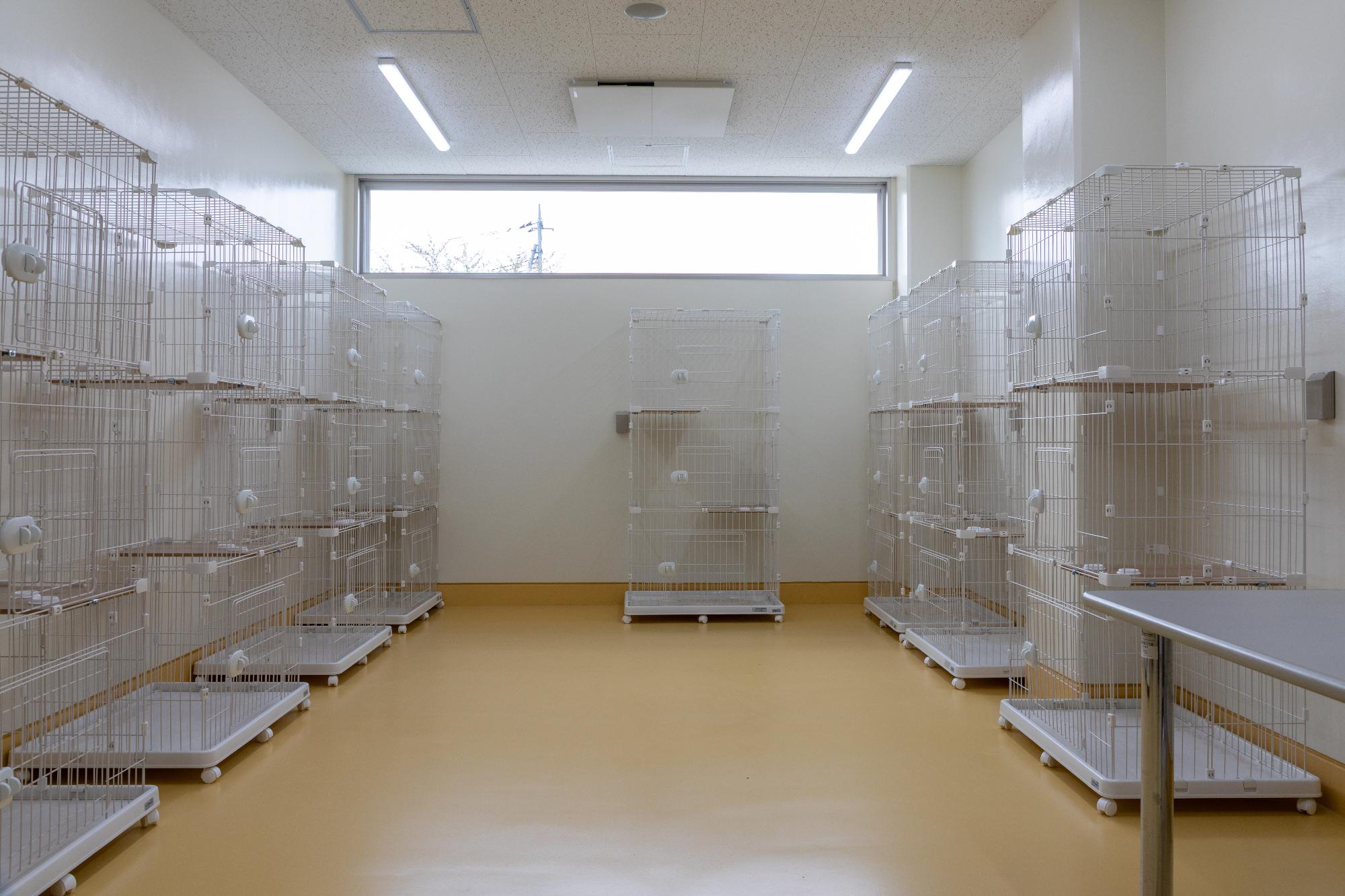 猫の部屋