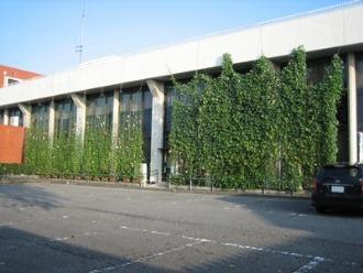 粕川支所のグリーンカーテンの写真
