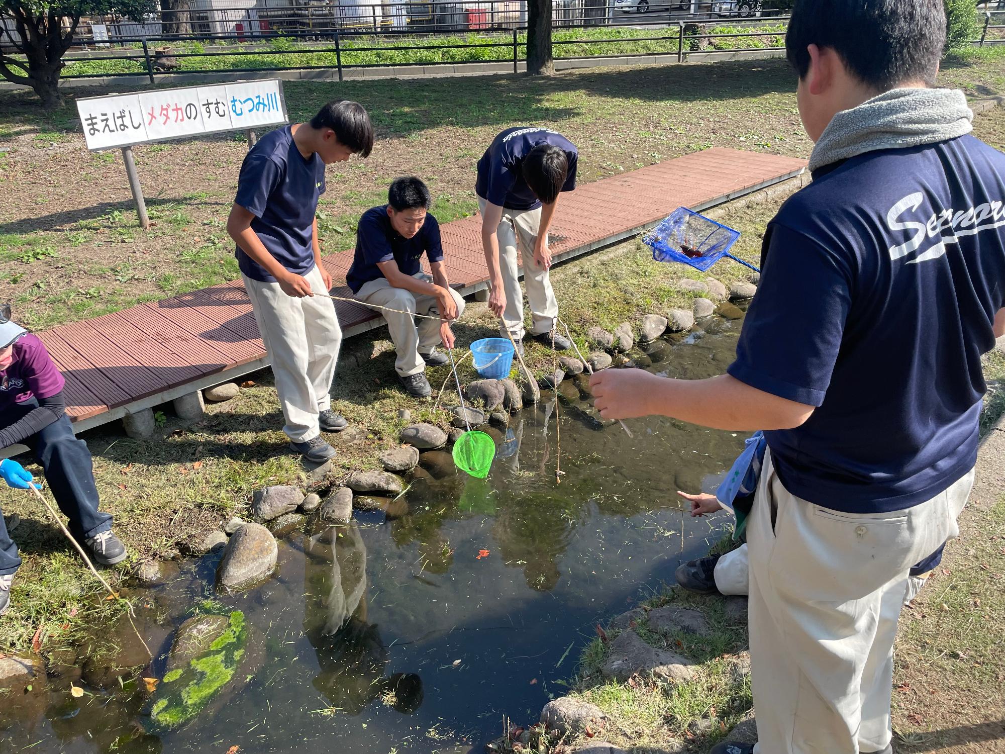 駆除の様子