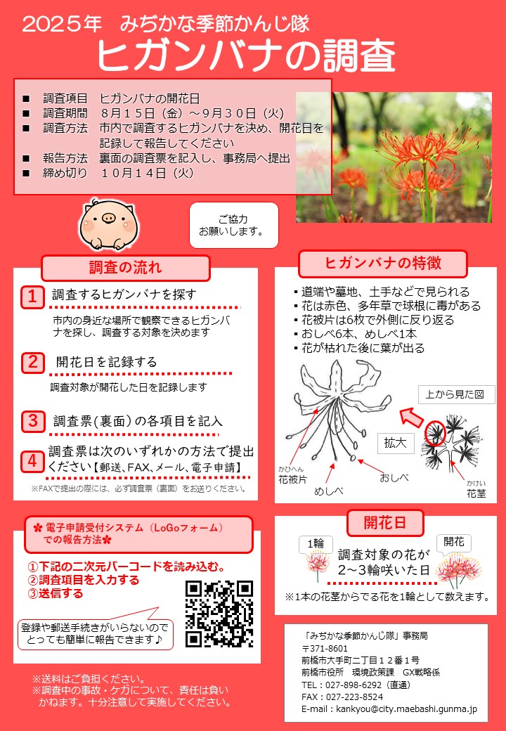 R7ヒガンバナ