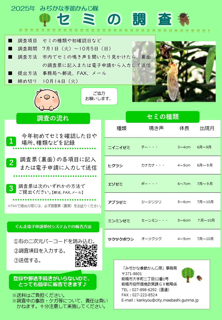セミの調査概要