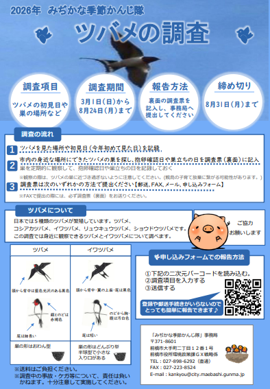 R8ツバメ調査概要