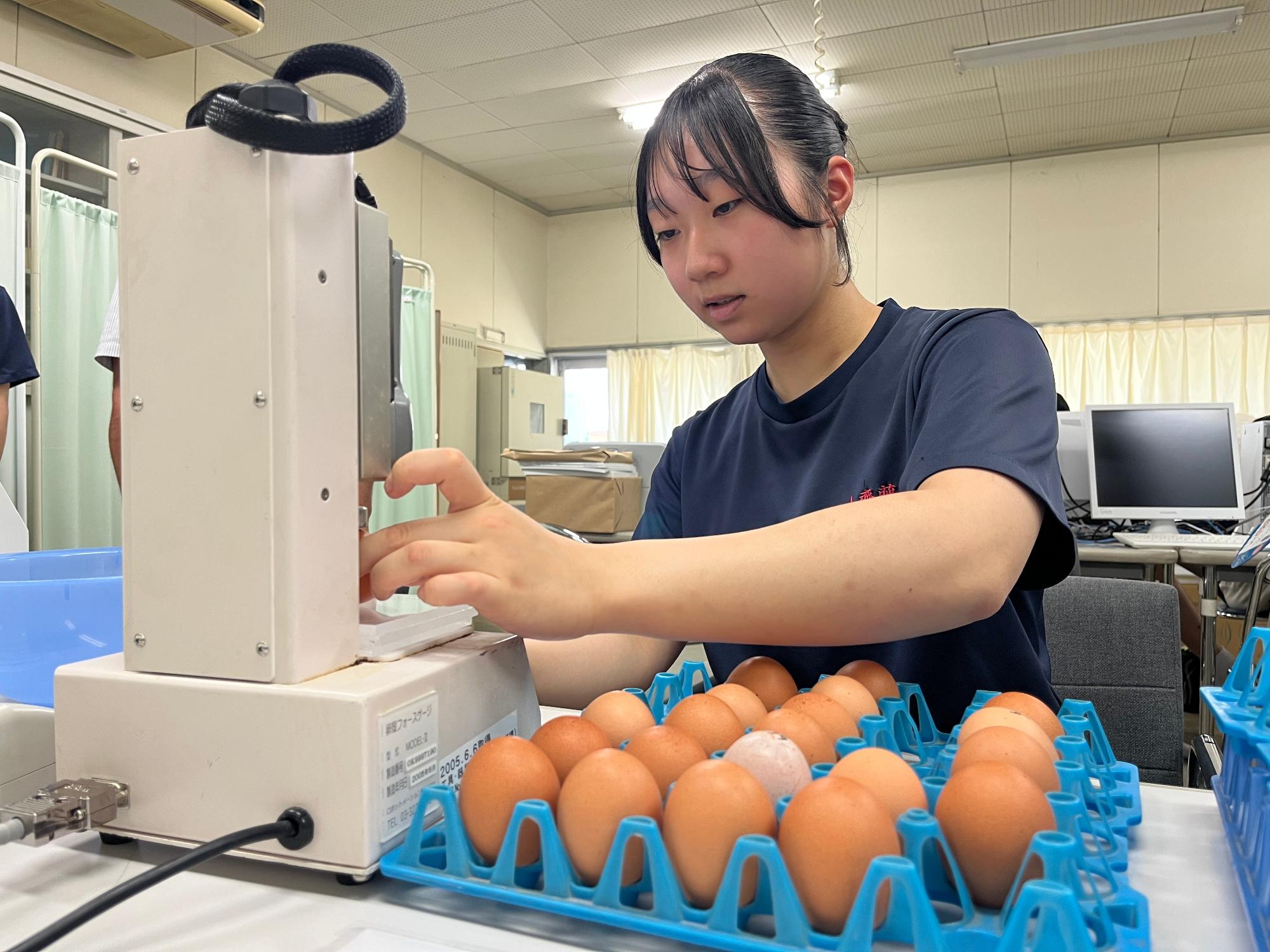 卵殻強度の測定