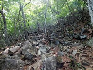 Rocky trail 2