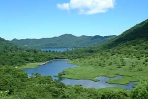 Summer in Mt. Akagi