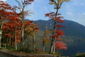 Autumn in Mt. Akagi