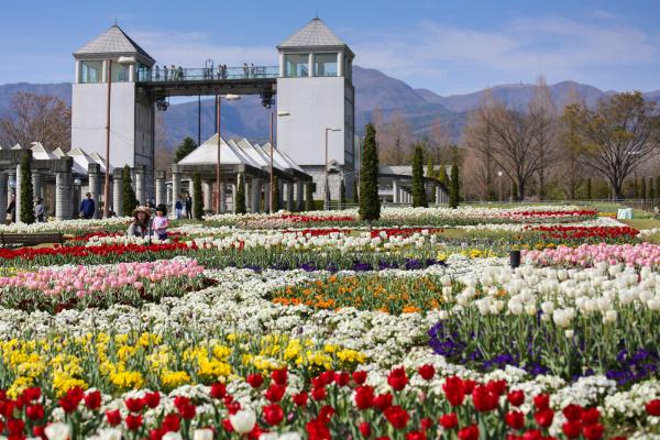 Flower park