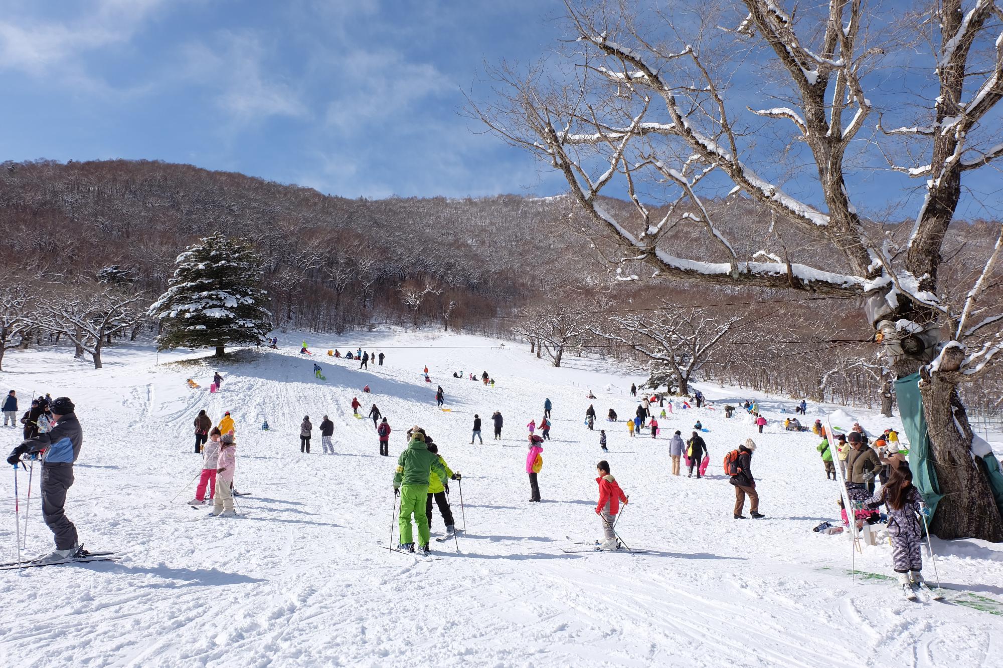Winter in Mt. Akagi