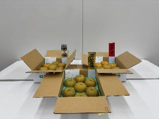 第48回前橋市梨（幸水）共進会において入賞した梨