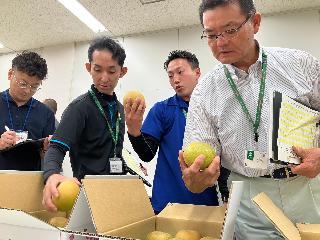 第48会前橋市梨（幸水）共進会の審査の様子