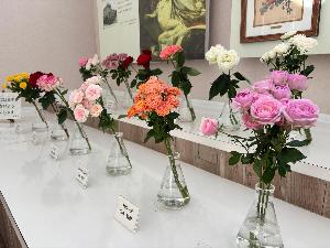 令和7年度切バラの展示の様子