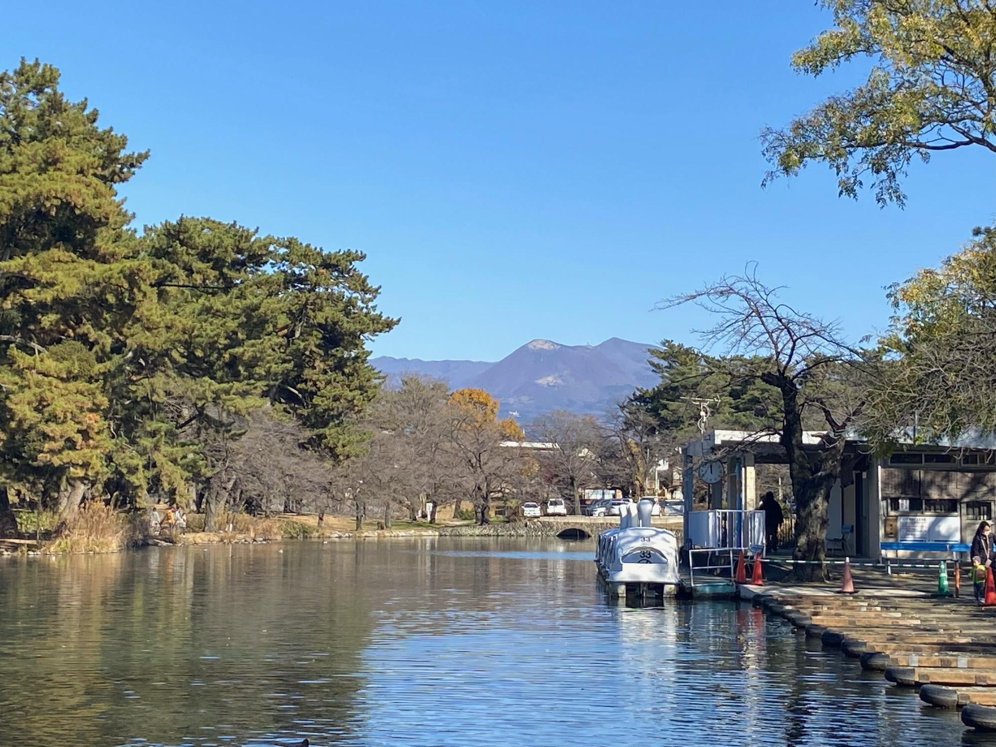 敷島公園ボート池から眺望する松林と赤城山