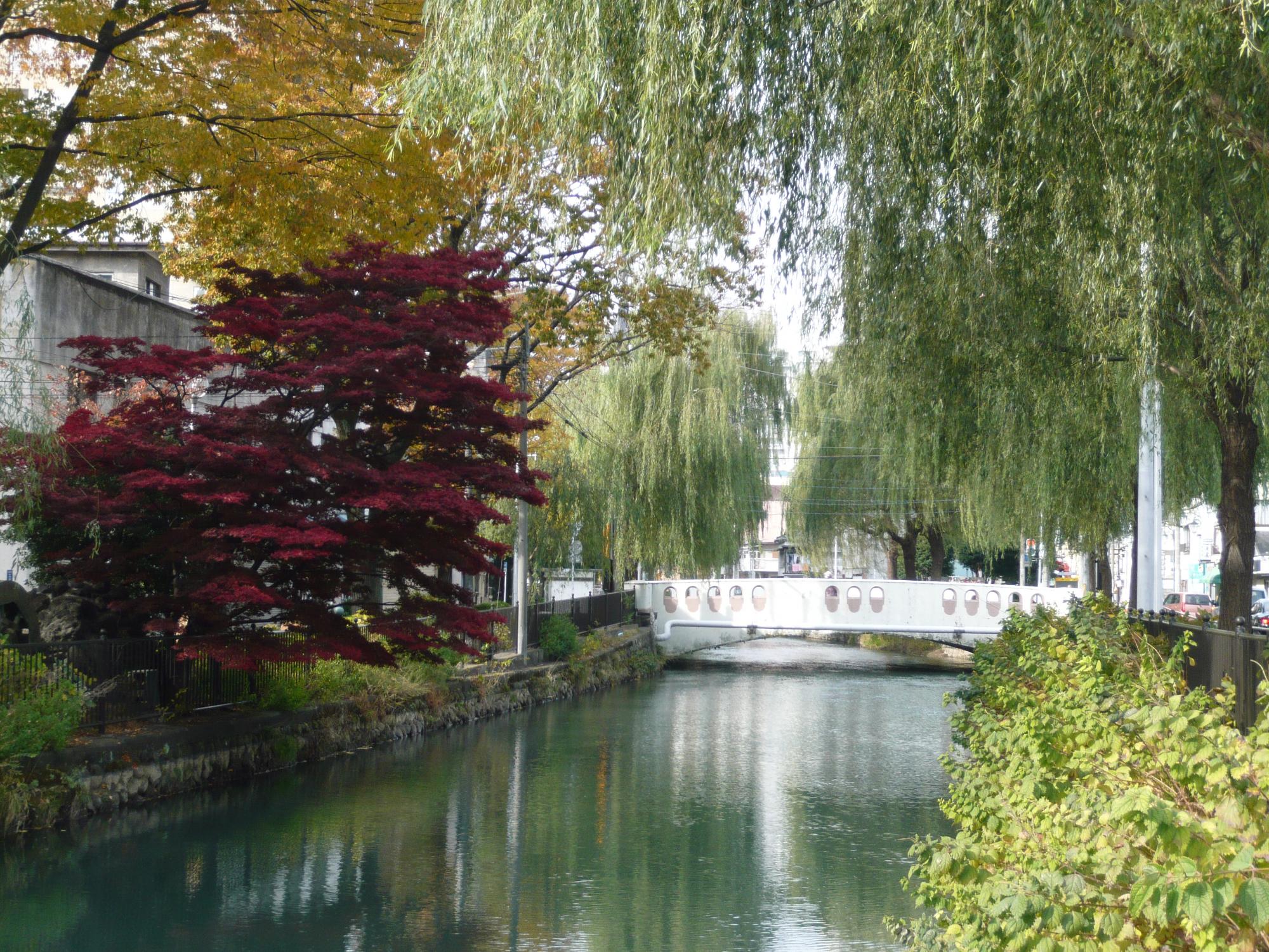 広瀬川河畔と比刀根橋