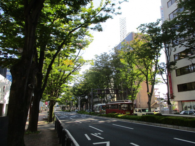 前橋駅前ケヤキ並木通り