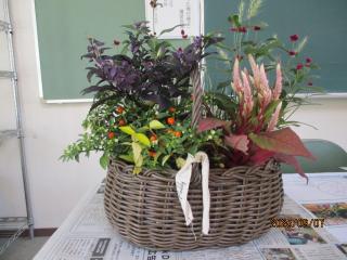 寄せ植え完成写真