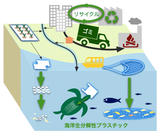 取組に関連する図