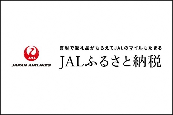 WEB限定カラー 株式会社Edo代表 関口との個人セッション60分 オンライン 体験型 体験型返礼品 コーチング カウンセリング Q908  340000円