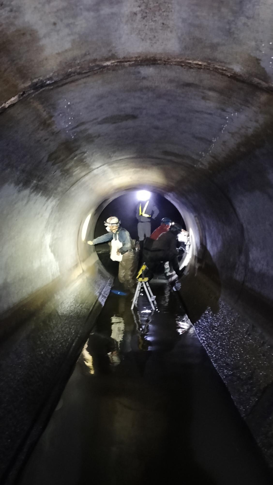 大規模：調査状況