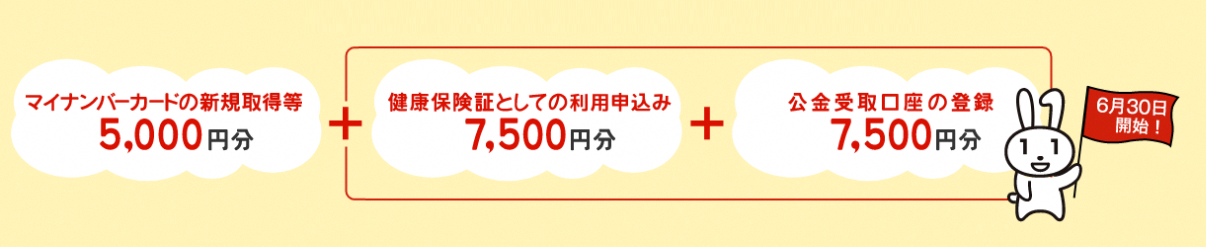 マイナポイントの内訳