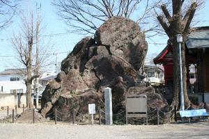 国指定天然記念物岩神の飛石の写真