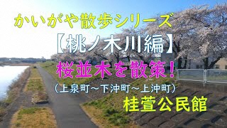 桂萱公民館オンライン講座かいがや散歩シリーズ【桃ノ木川編】