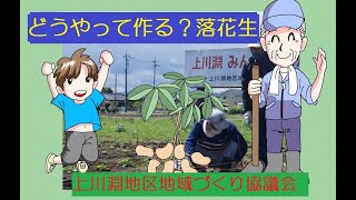 上川淵地区地域づくり協議会～落花生を植えてみよう