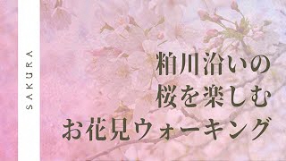 「まえばしウォーキングマップ粕川コース」を歩いてみよう