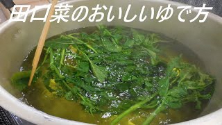 田口菜のおいしいゆで方