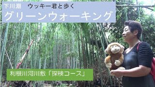 下川淵グリーンウォーキング「利根川河川敷探検コース」